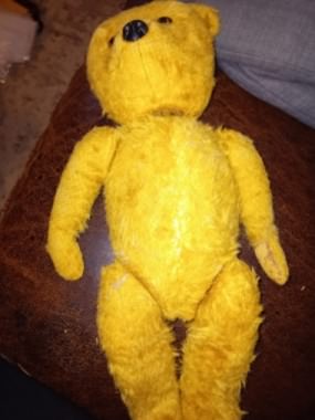 3) Teddy after surgery